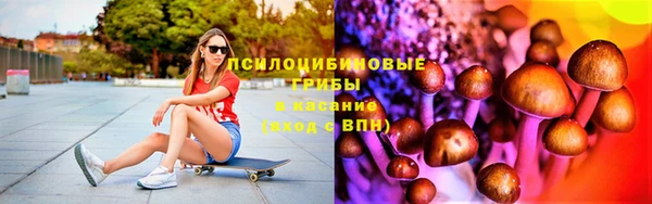 твердый Абаза
