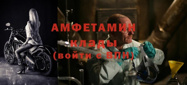 твердый Абаза