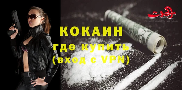 твердый Абаза